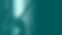 SDC SDL 2025 4x5 (9).png
