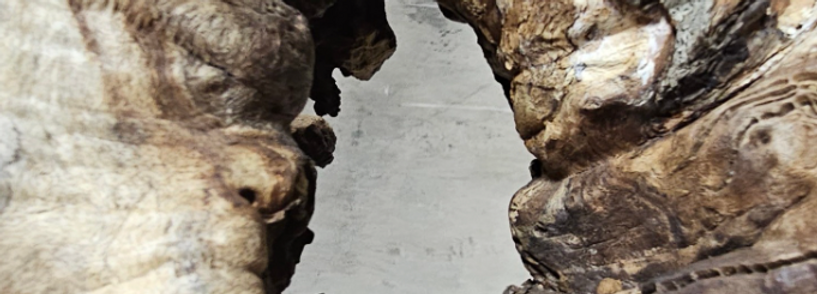 Capture d’écran 2026-02-22 à 21.45.32.png