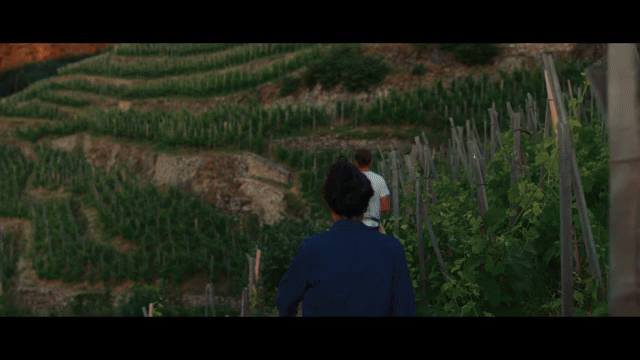 The Hills of Wrath: Documentary & Wine Tasting!