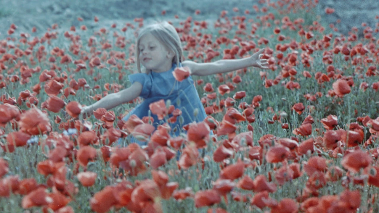 COLOURFUL DREAMS- Arthouse Cinema for All-Ages!