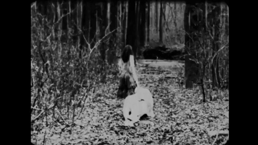 BEGOTTEN