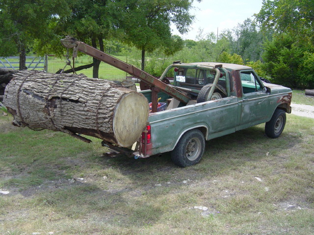 bur oak4317.jpg