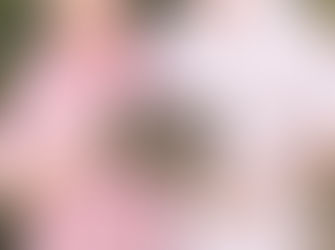 Motherhood in all Seasons