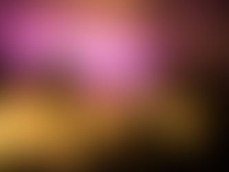 The Return of Linda's Fest