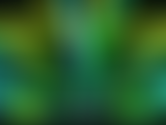 Concerts in Seattle this summer