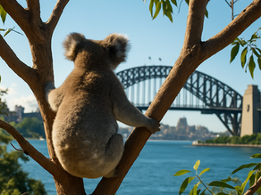 Australia’s #1 Real Estate News Platform Wants Your Story Next