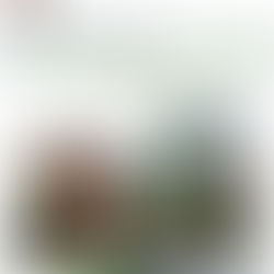 Marketing property on social media for almost a decade