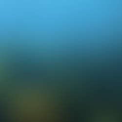 Healthy Ocean, Healthy Future