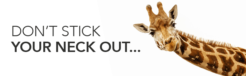 OA-800x250_Mobile_Giraffe-Taste Freedom.gif