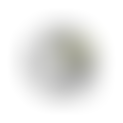 TurnKey turns heads. 