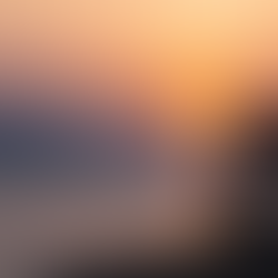 This Is the Week Strong Brands Decide What They Will Not Do Next Year