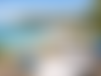 When Activity Slows, Professional Judgement Becomes the Differentiator