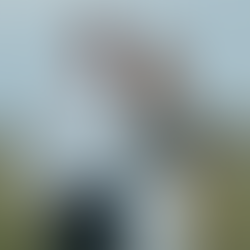 New Local Faces Behind Ray White Pukehina