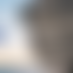 Facebook shares plummet as users leave the platform in droves. 