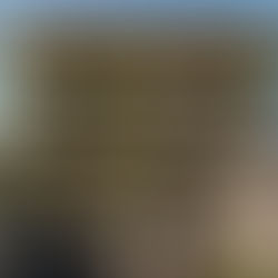 From Down Under to the Digital Frontier: How One Aussie Agent Sold an Unrenovated Home for $4.45 Million Using Architectural Renders