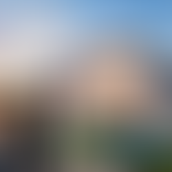 REMAX Supports Consumer Transparency, Announces Listings Can Appear on New ‘Zillow Preview’ Platform
