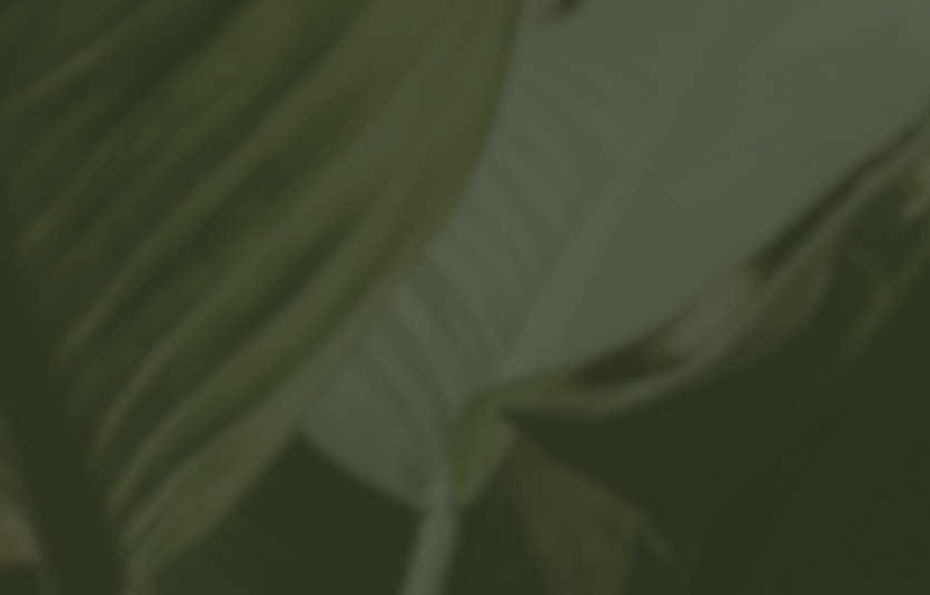 Design sem nome (60).png