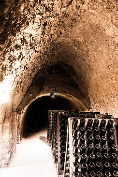 champagne, Pierre Baillette, champagneglas, vin vinglas, lehmann glas