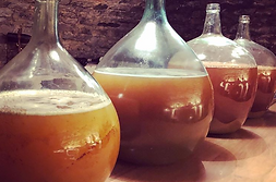 Fermentation 2019 Chassagne cailleret.PN