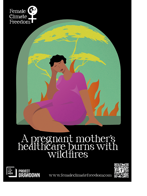 Final pregnant women (FCF).png