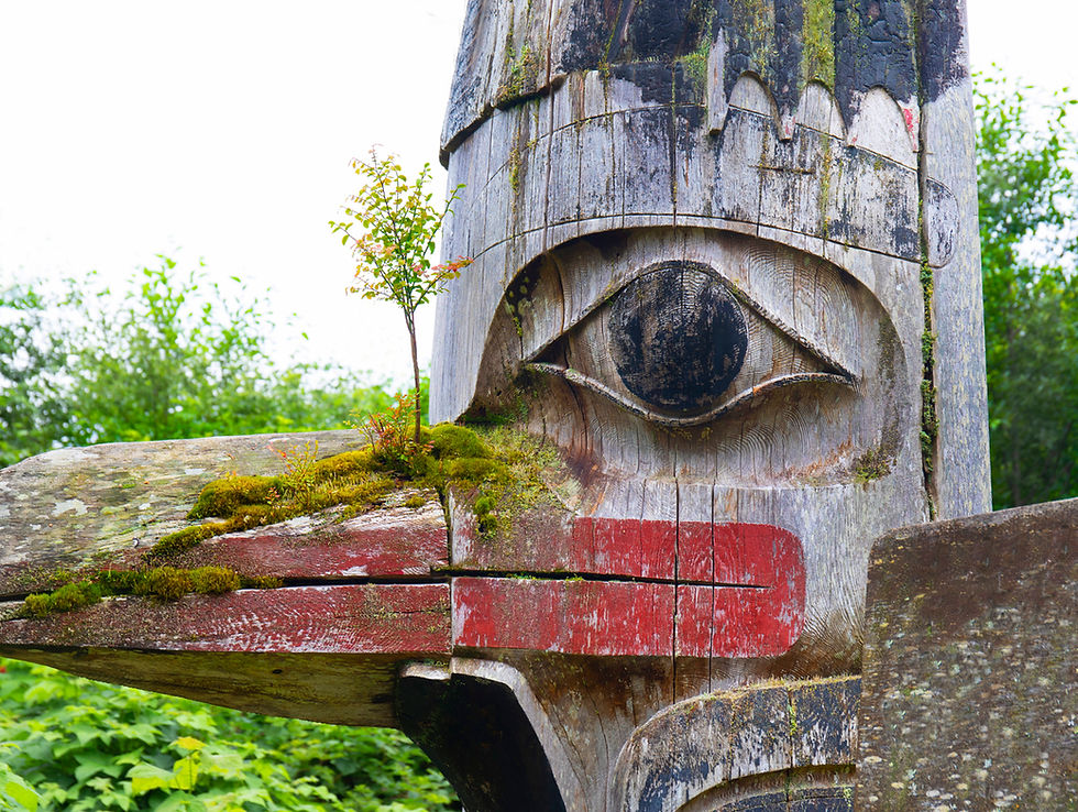 The Great Bear Rainforest: A Global Climate Solution Rooted in Indigenous Wisdom