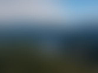 December 2025 Membership Gift