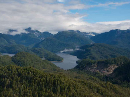 December 2025 Membership Gift