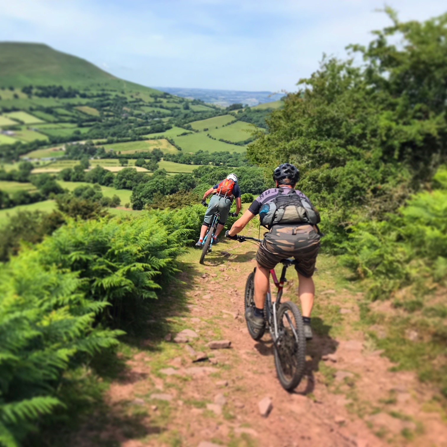 Mountain Bike Wales MTB Wales Mountain Bike Guide