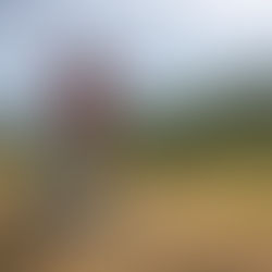 The heat wave continues...