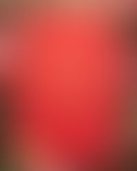 AQUI JÁ É NATAL!
