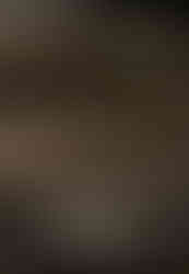 massimo brunelli 3d sketchup render enscape