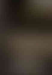 massimo brunelli 3d sketchup render enscape