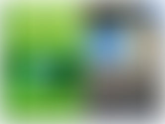 Copertina del libro e Castello Svevo