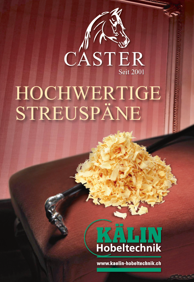 CASTER Inserat