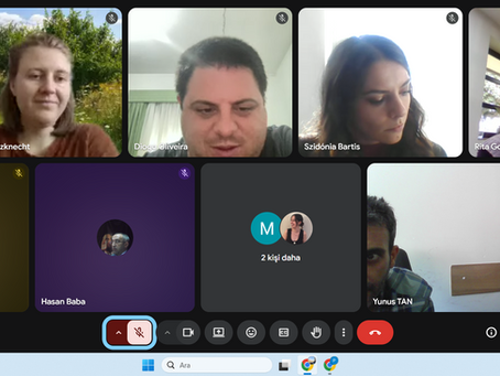 Online Kick-Off Meeting