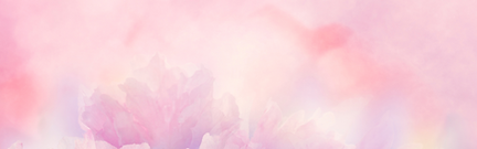 pink sillioute banner 3.png