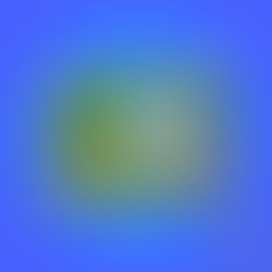 Wandplaat: De lagen van het bos