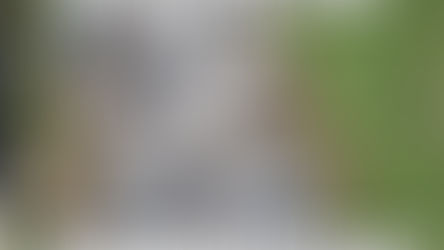 Voz Presents: Urayoán Noel