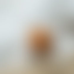 KATIE JEAN SHINKLE | The Mercy Method