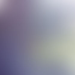 INTERVIEW | Feeling Deeply: A Conversation with Leah Naomi Green