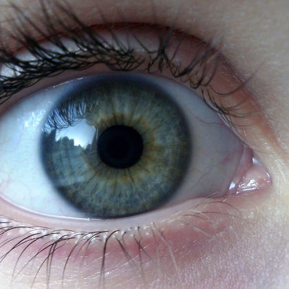 FICTION | The Age of Virtual Children