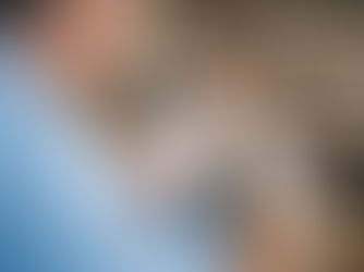 7 arguments to get your CEO on board with investing in product authentication