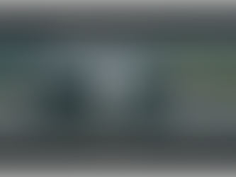 Drive safely...for real! With genuine spare parts.