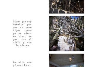 Beberly Salomé Estay, La tierra, el cielo, yo, proyecto fotográfico 2015.