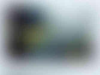 Beberly Estay, Una mujer que se ve en una fotografía, FIFV 2017.