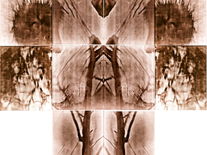 COMPOSICION TELA_LUMEN_3.png