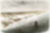 9093635266_9874ebd415_o_edited.jpg