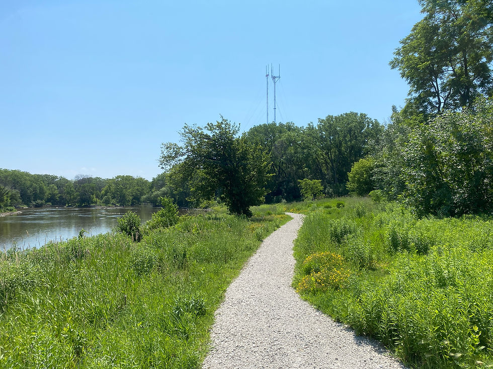 Volunteer Workday - Westabrook Trail