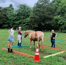 Horse Retreats in East Tennessee, Private horse lessons in Tellico Plains , Team Building Experienmces and Equine Therapy