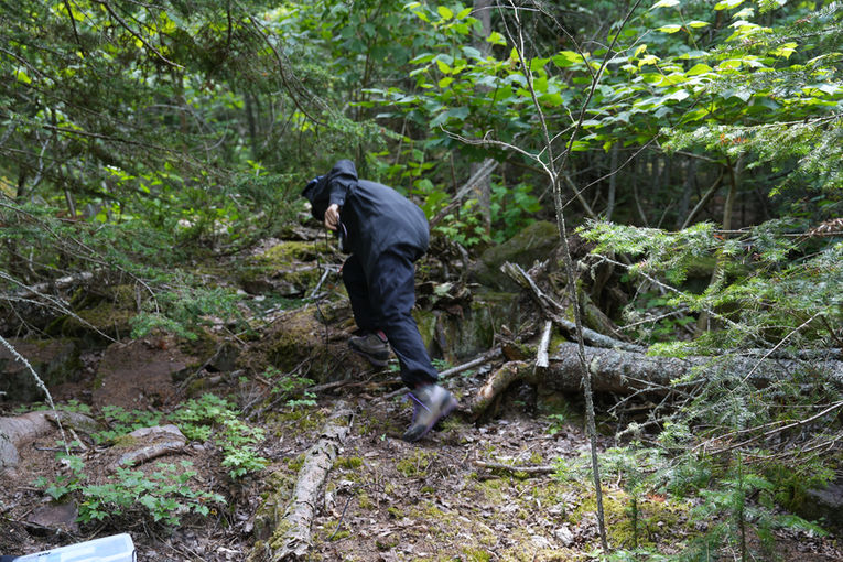 rabbit island studio insitu-web-43.jpg